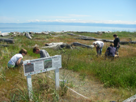 Esquimalt lagoon