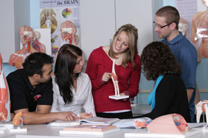 A group of students studying