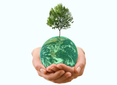 Sustainability Day at Lansdowne campus
