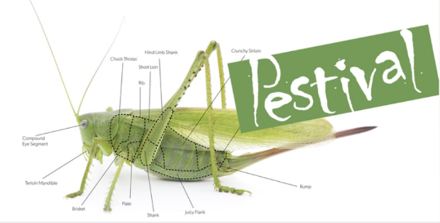 Pestival of Edible Insects grasshopper graphic
